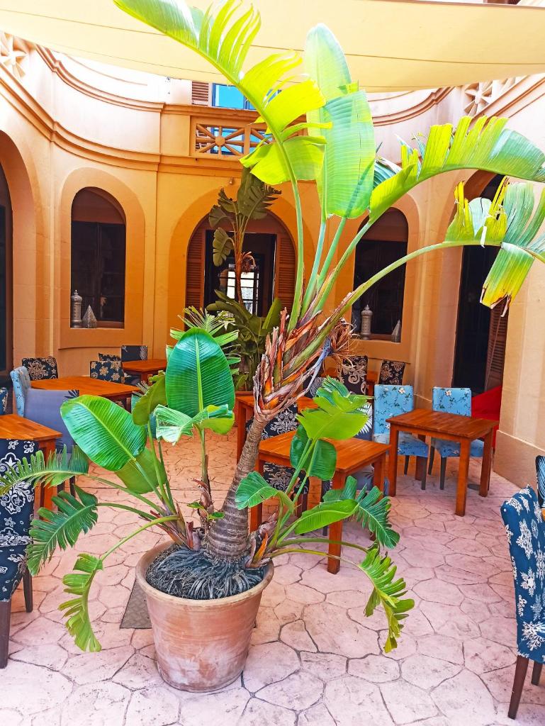 Palacio Sant Salvador photo 4