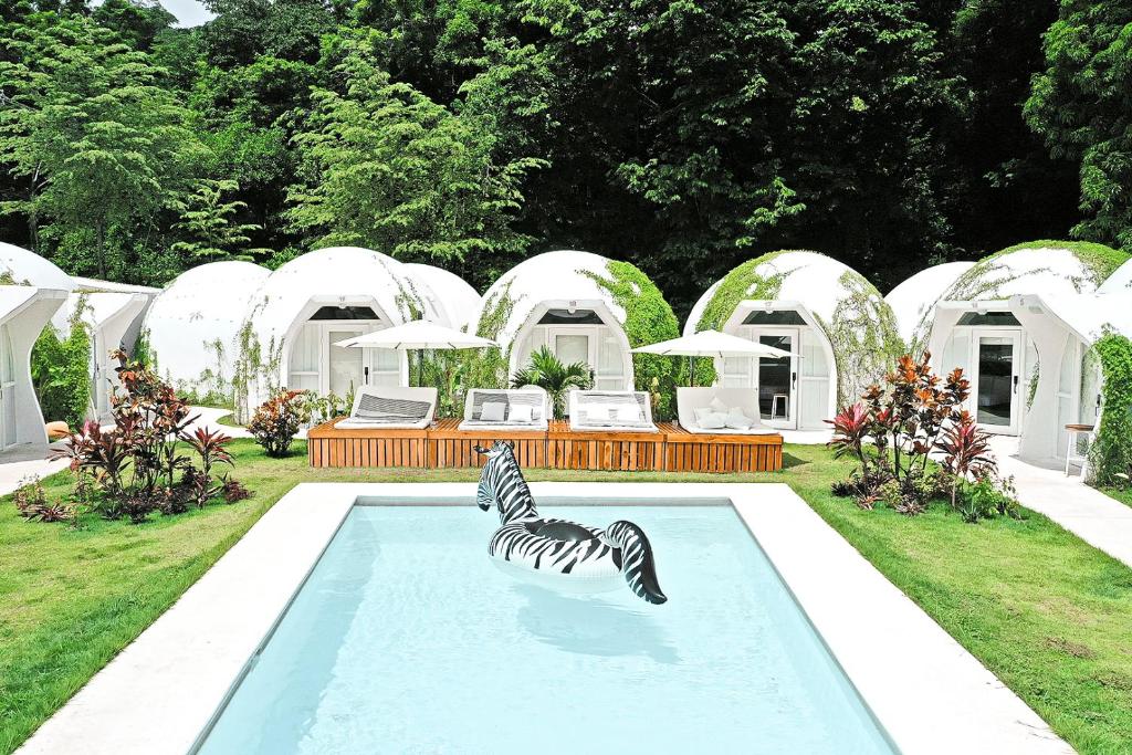 Igloo Beach Lodge photo 2