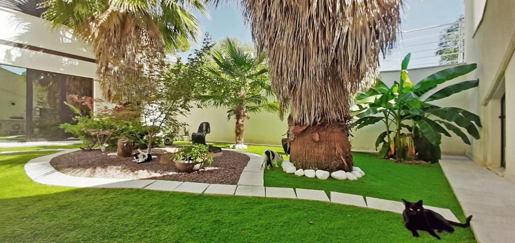 Villa Belohorizonte photo 3