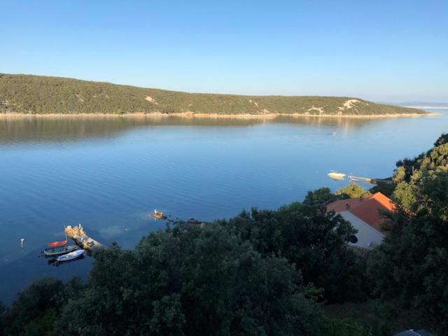 Apartmani Dragica-prizemlje photo 1