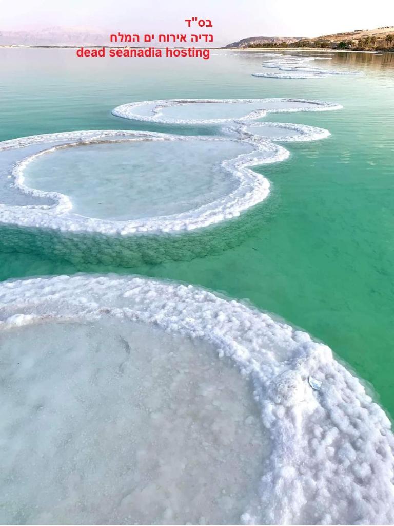 Nadia Hosting Dead Sea