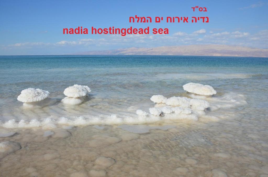 Nadia Hosting Dead Sea photo 1