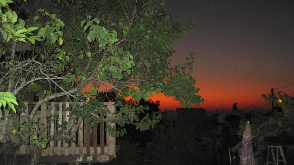The House By The Mulberry Tree photo 1
