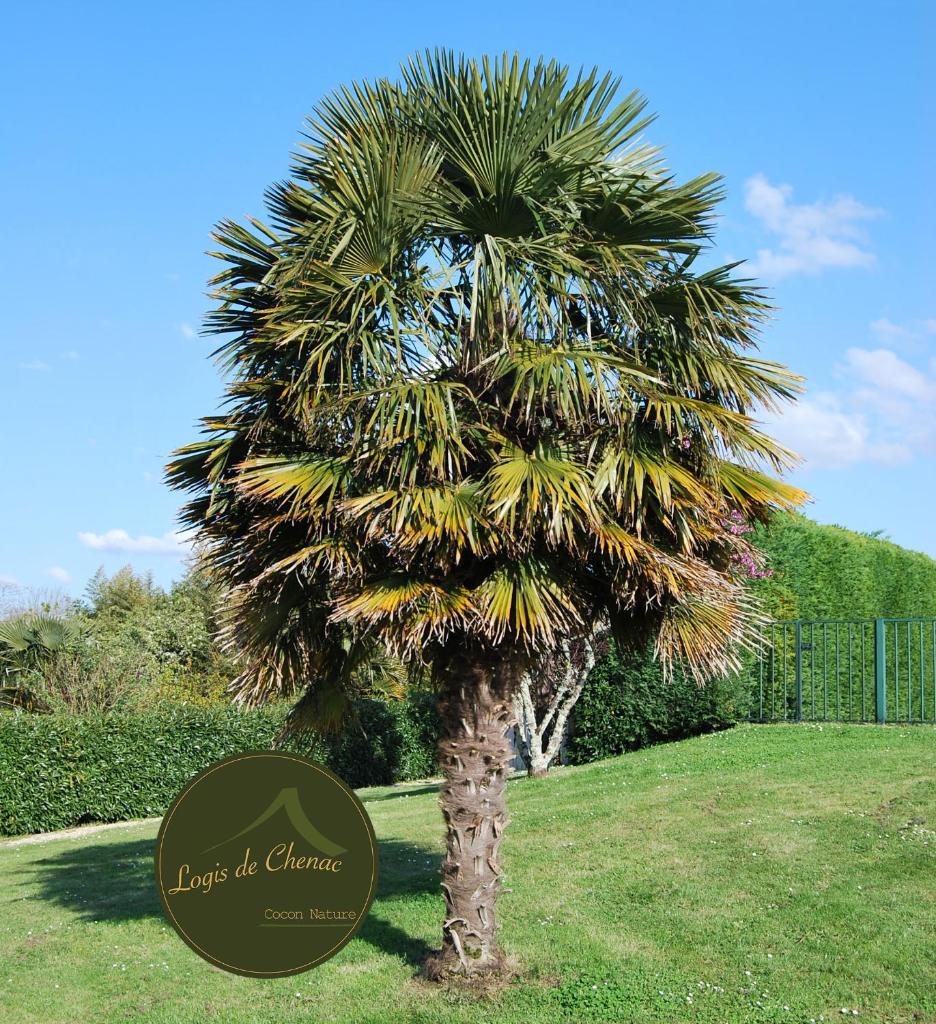 Logis de Chenac photo 3