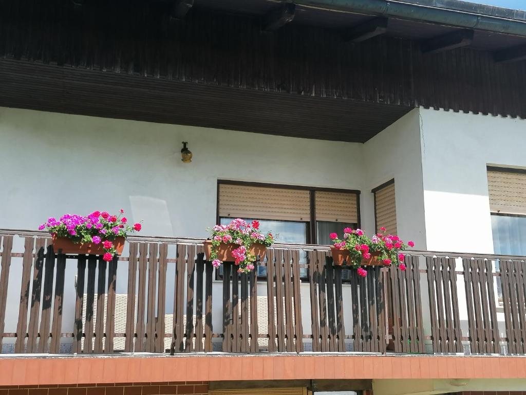 Apartments Novak photo 1