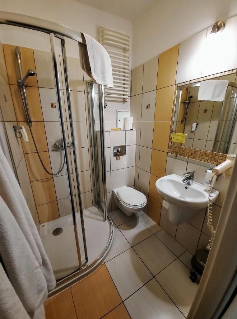 Двухместный (Двухместный номер с 1 кроватью), Aneks Hotelu Kazimierz
