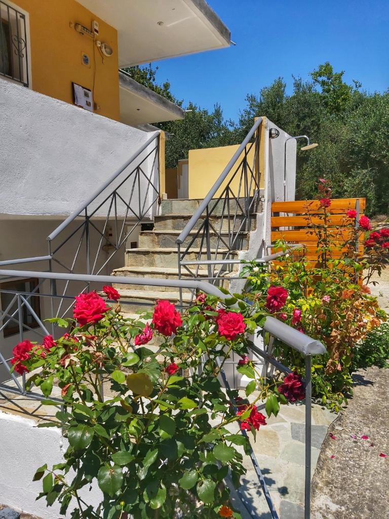 Artolithia Apartments photo 4