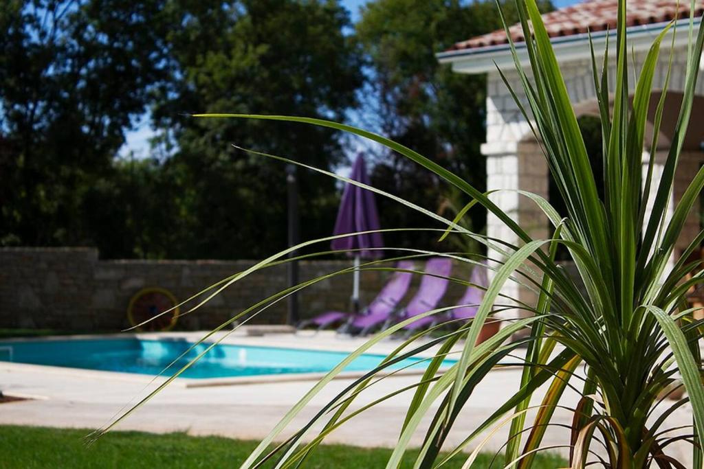 Villa Krmed with private pool photo 1