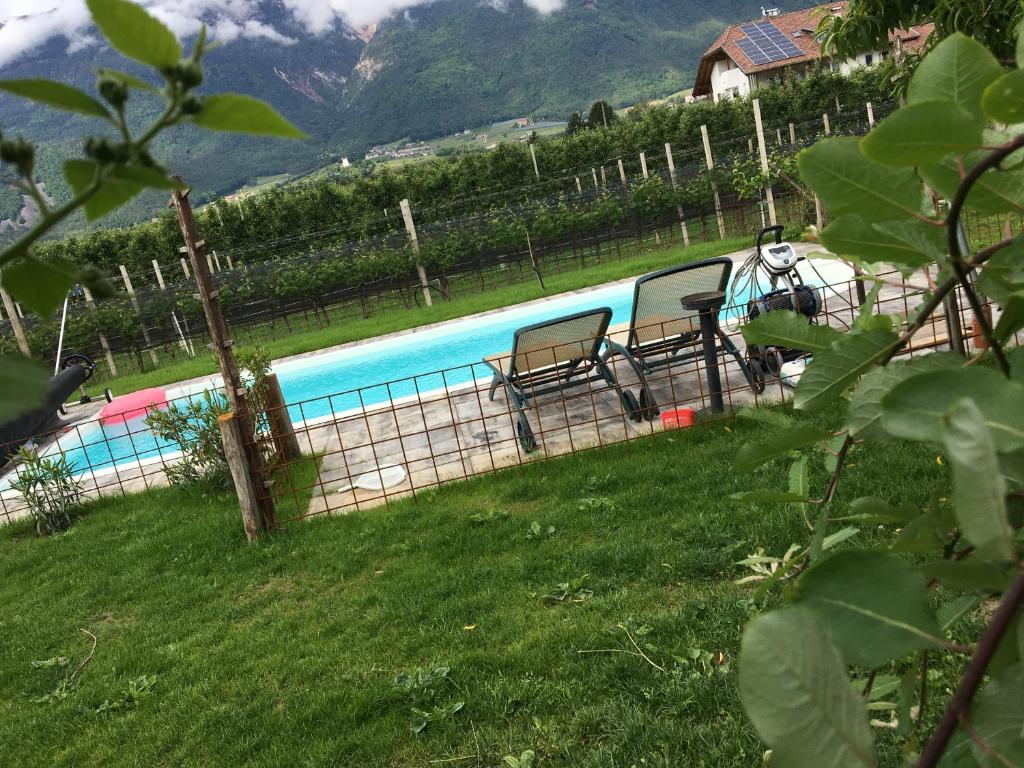 Lochererhof photo 2