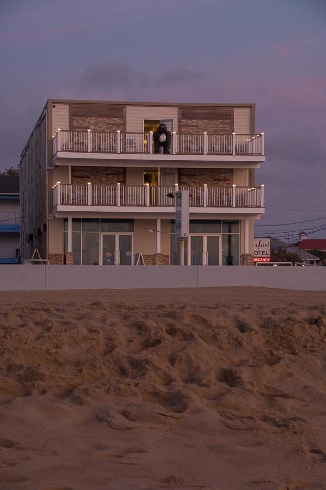 Safari Hotel Boardwalk photo 3