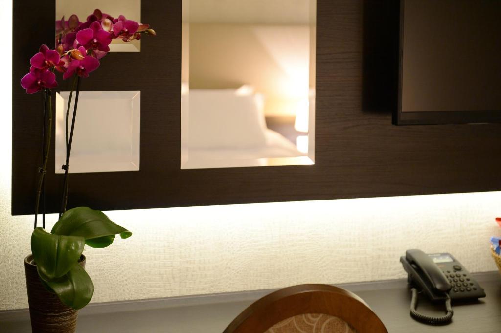 Одноместный (Улучшенный одноместный номер), Hotel Majdan