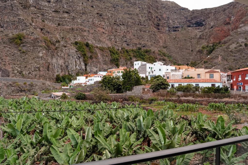 DanySer Suites Vacacionales photo 1
