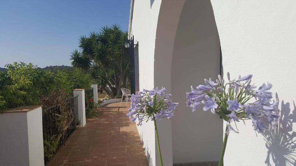 Casa Miralejos photo 4