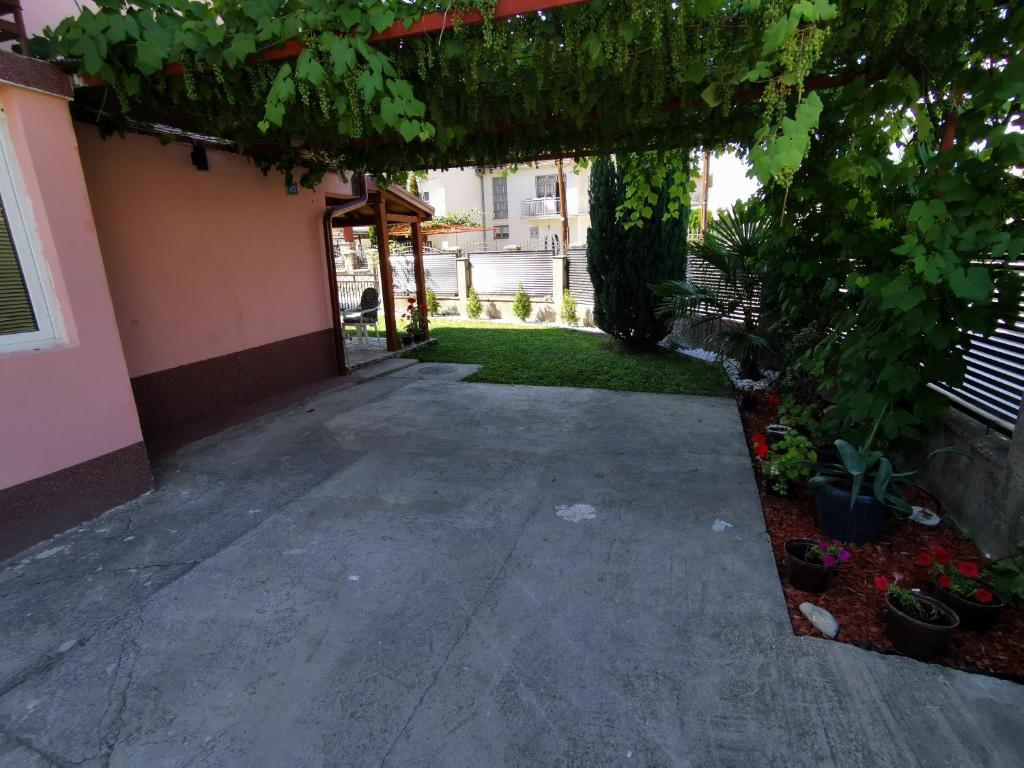 House Petar photo 3