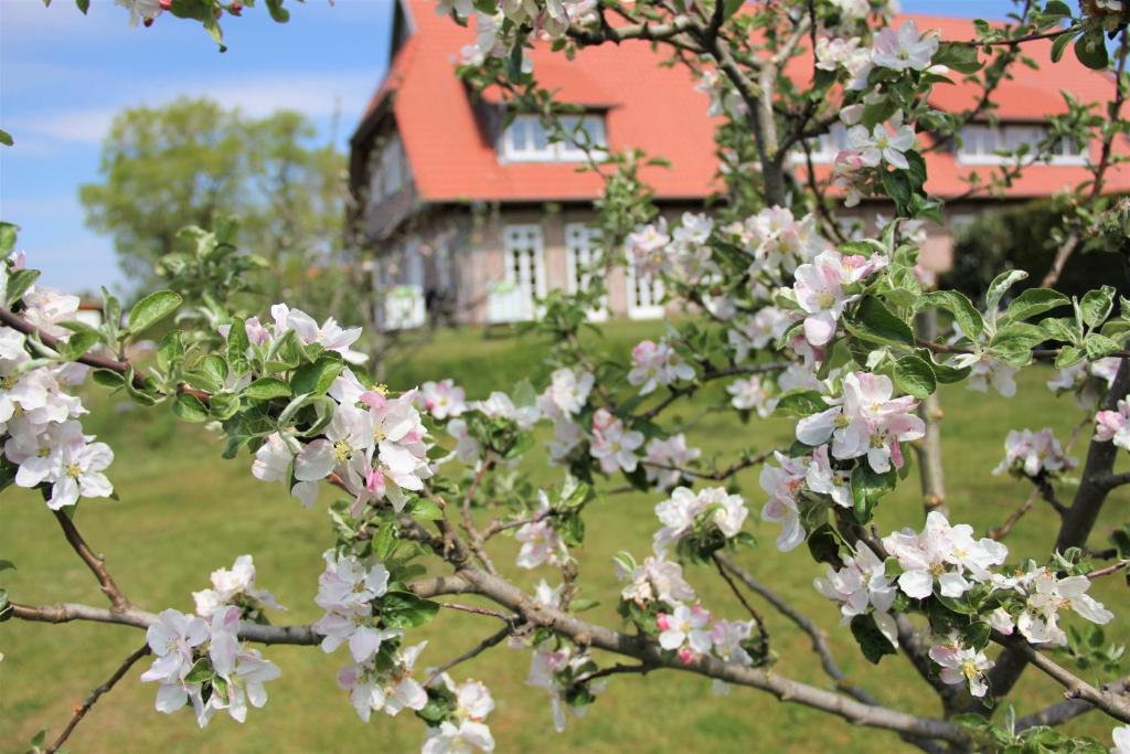 Landhaus Fünfseen photo 1