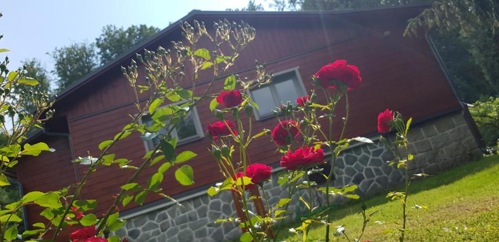 Chata SPOLUNAKOLE - Český ráj photo 4