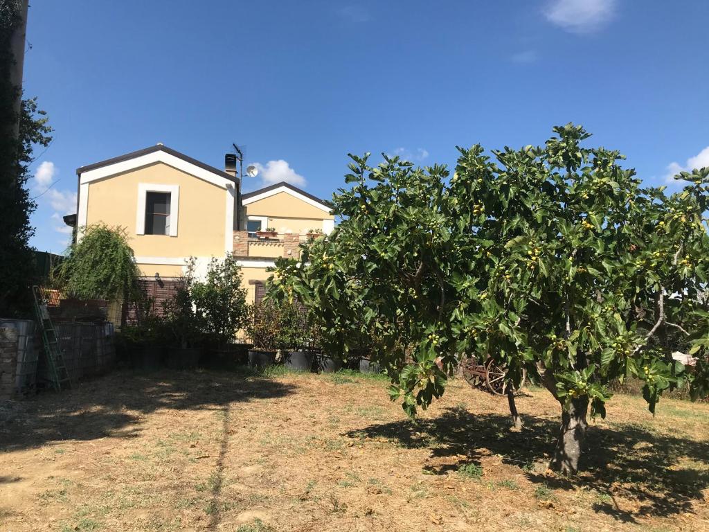 Casale Vincenzo Country House photo 3