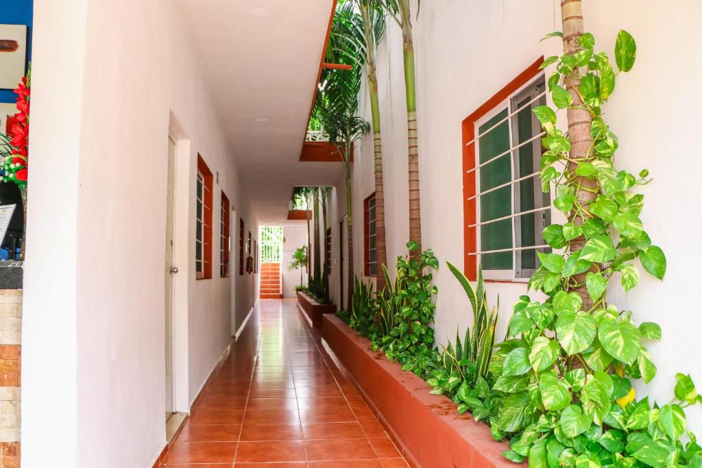 Gayser Apartamentos photo 4