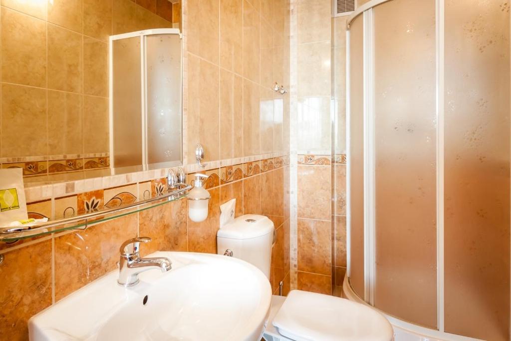 Одноместный (Одноместный номер Делюкс), Hotel Alf