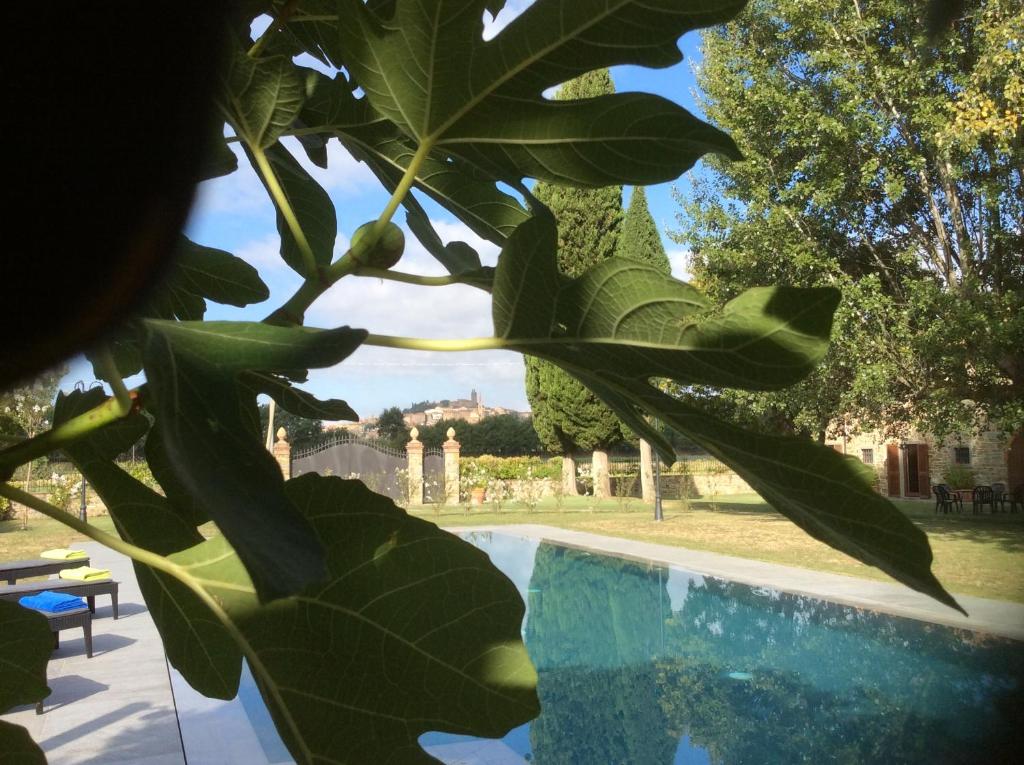 VILLA Podere IL GIARDINO photo 4