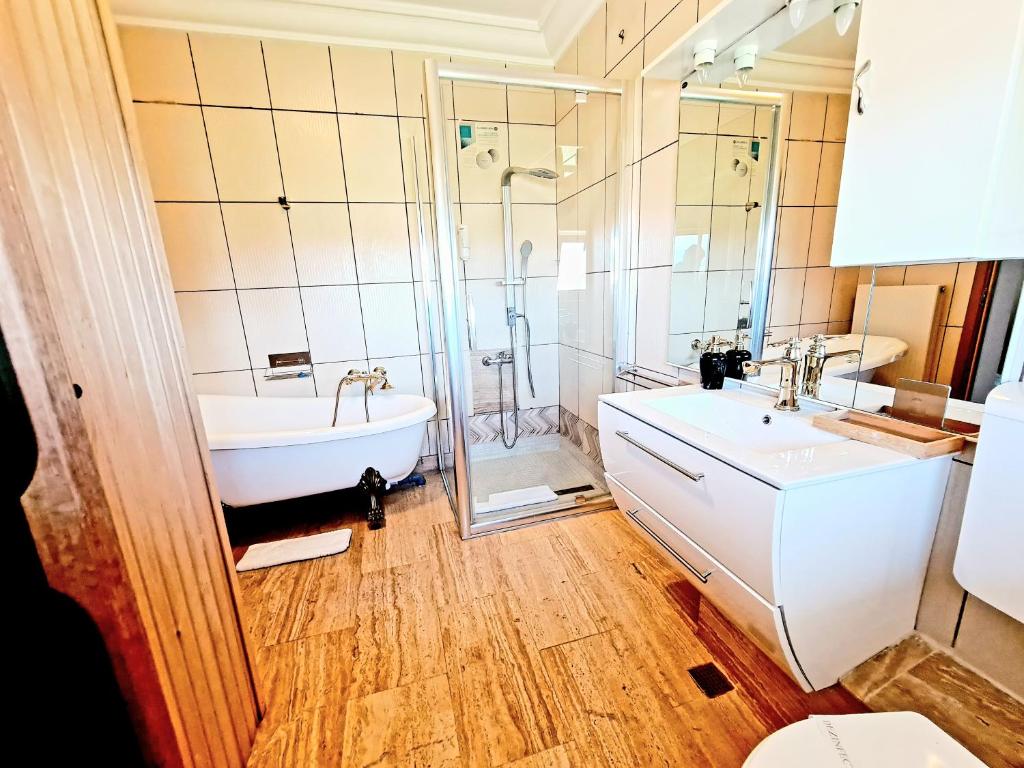 Hotel Elisabeta photo 3