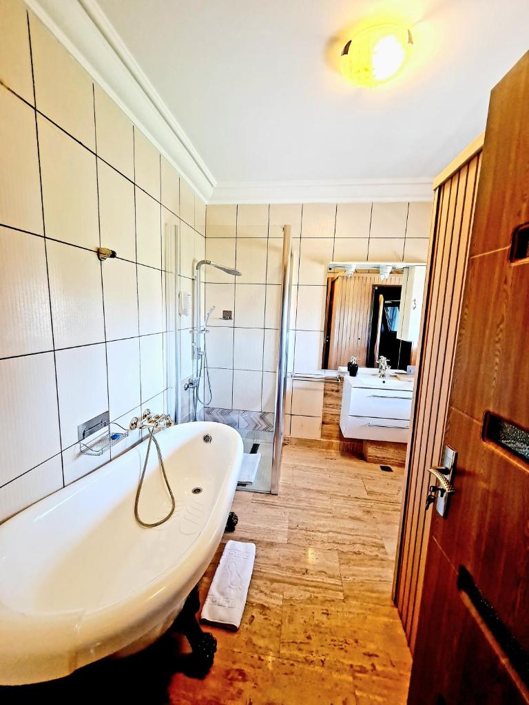 Hotel Elisabeta photo 4
