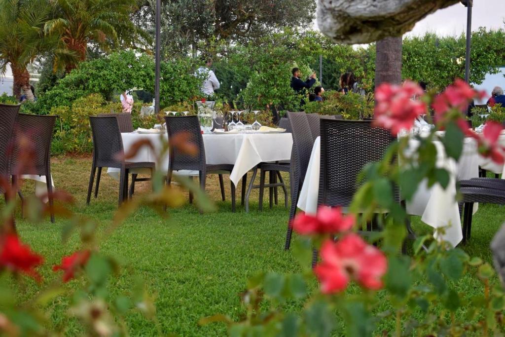 Pescheto Tenuta Chimenti photo 3