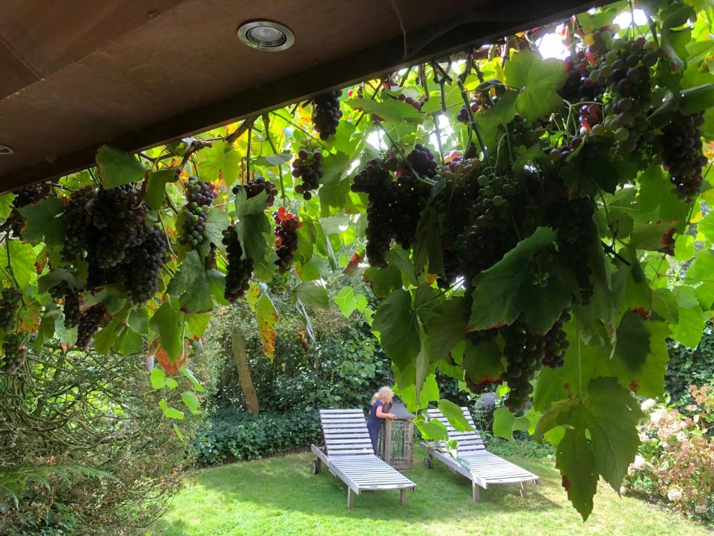 Beaux Temps b&b photo 1