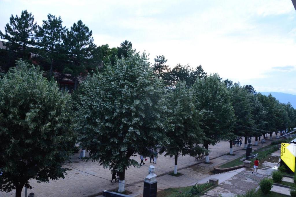 Royal Hotel Peshkopi Albania photo 4