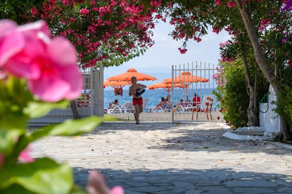 Akrogiali Beach Rooms photo 4