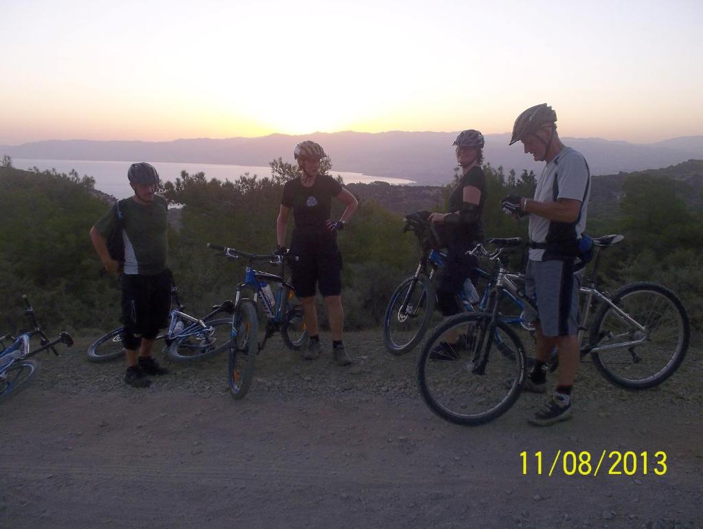 Villamia photo 2