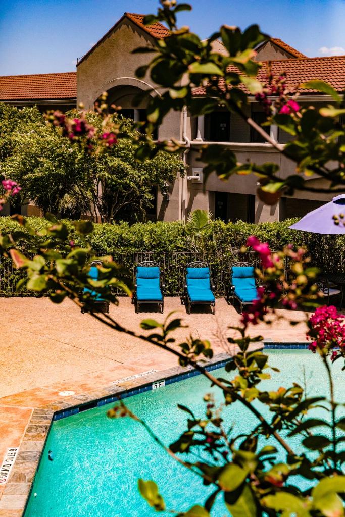 Vineyard Court Designer Suites Hotel photo 4