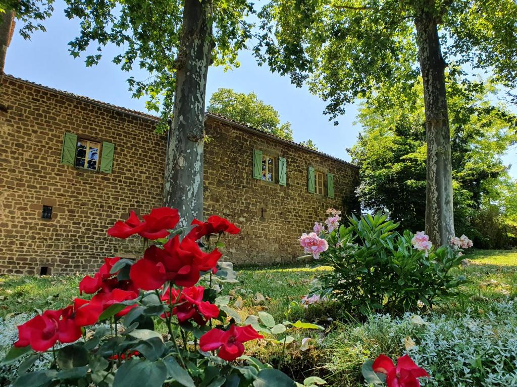 Château Labistoul photo 4