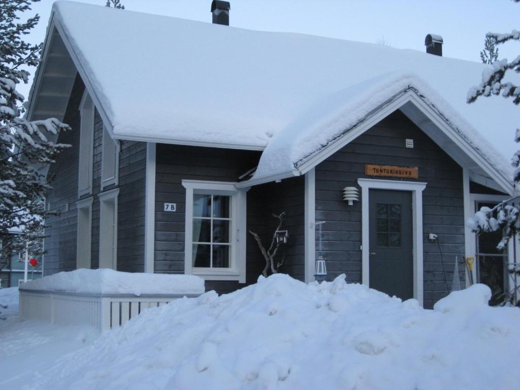 Tunturikoivu photo 3