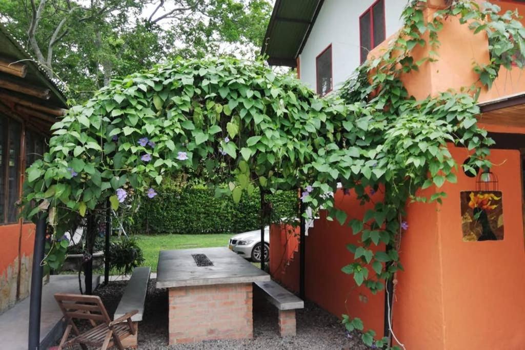 FINCA YULUKA photo 3