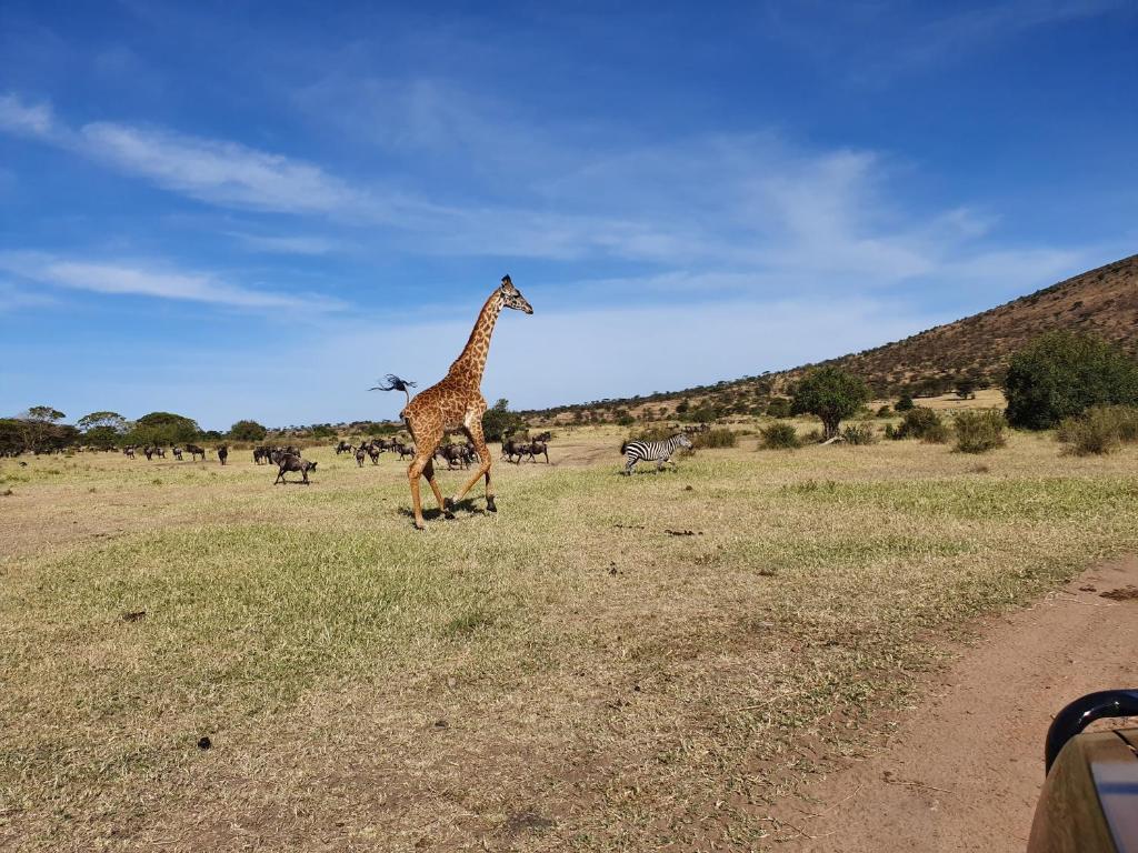 Africa Safari Lake Natron photo 4