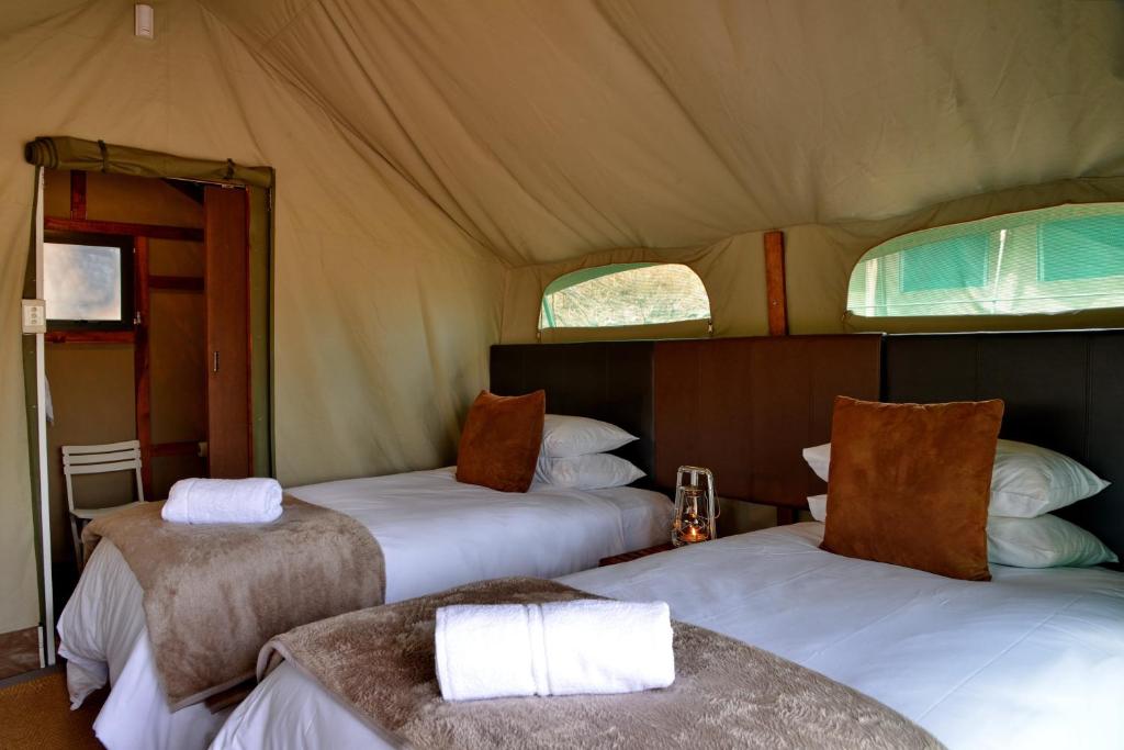 Bezhoek Tented Camp photo 4