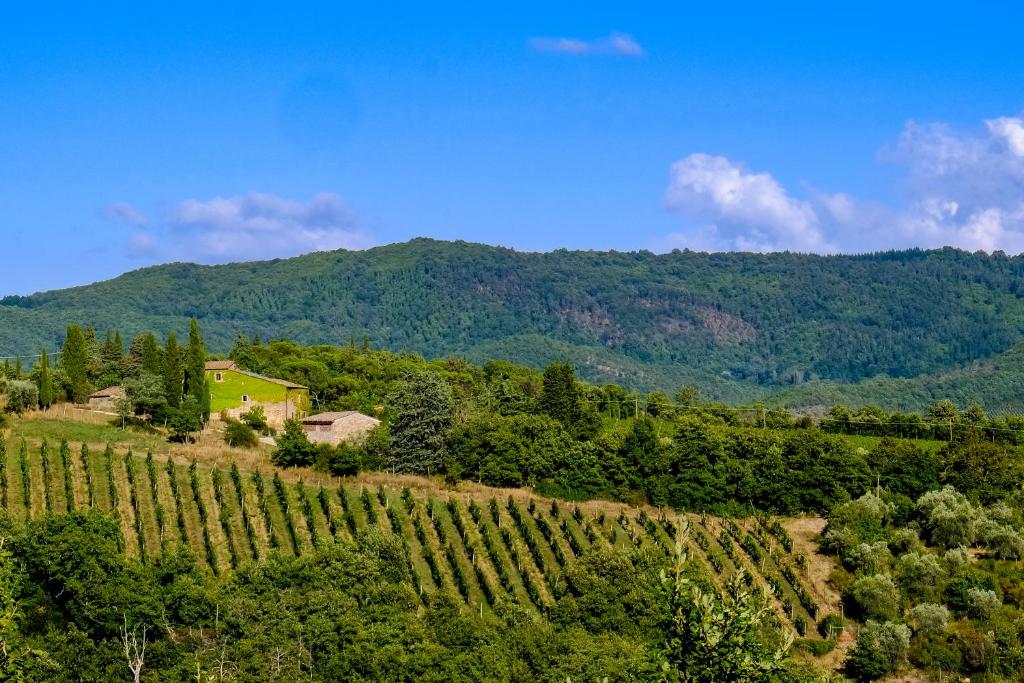 Podere Pruneto photo 1