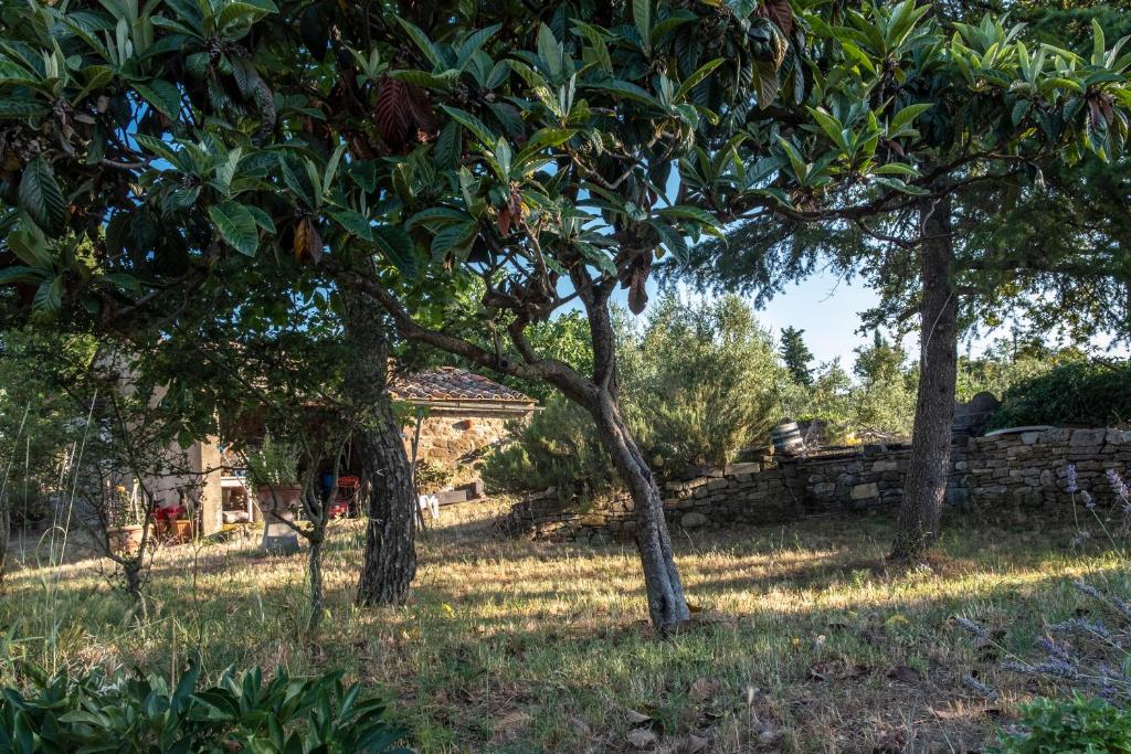 Podere Pruneto photo 2