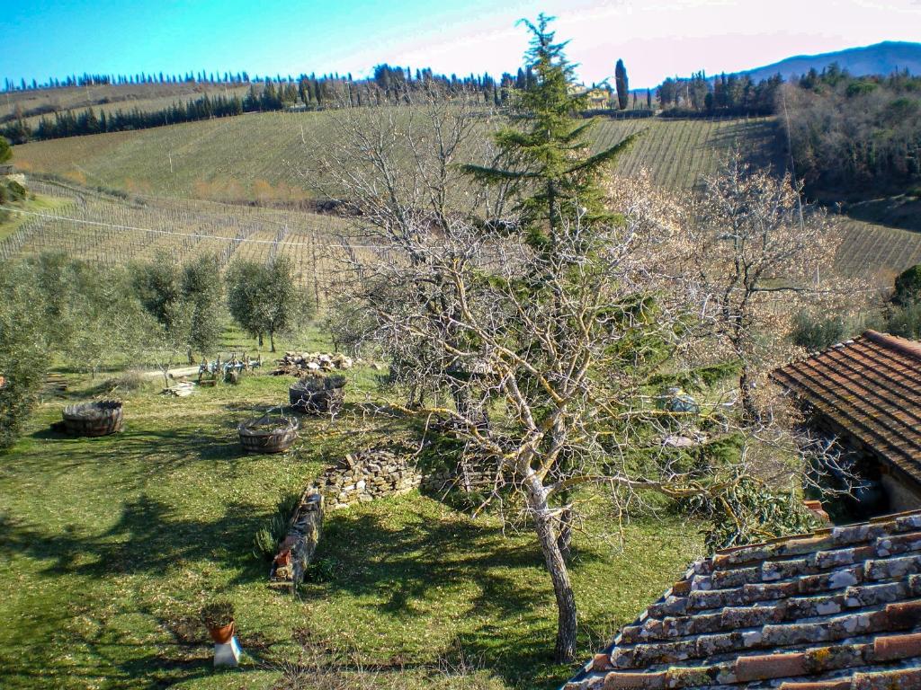 Podere Pruneto photo 3