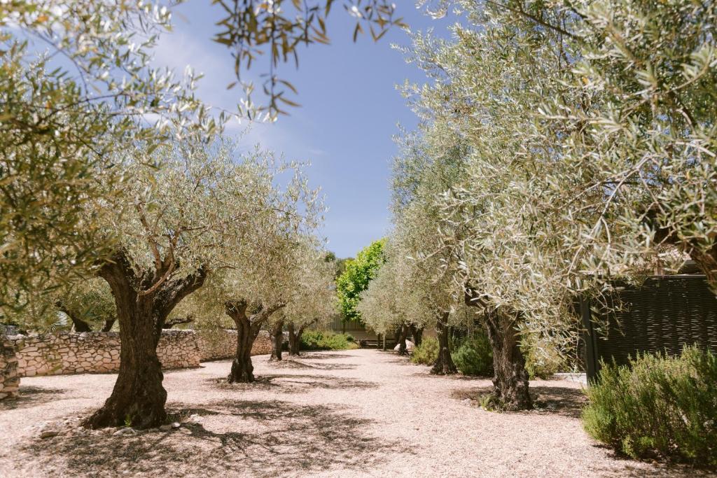 Domaine la Pierre Blanche photo 4