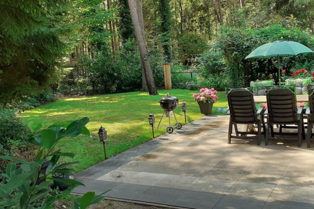 Drentse bungalow in natuur en rust photo 1