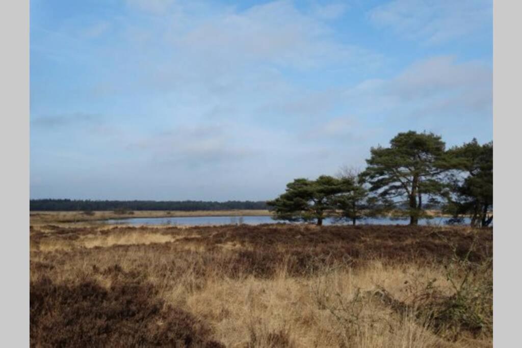 Drentse bungalow in natuur en rust photo 4
