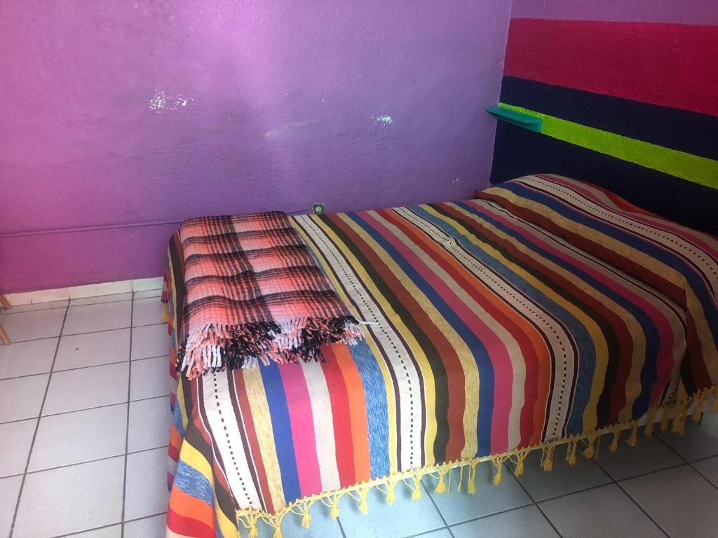 Iguana Hostel Oaxaca photo 2