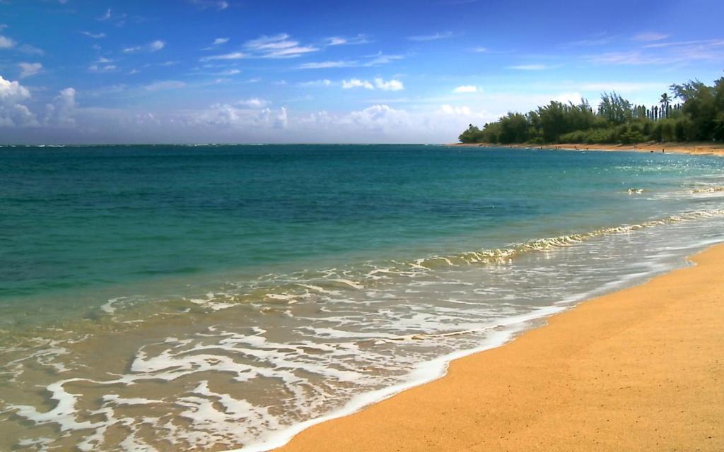 Wonderful Maui Vista-Kihei Kai Nani Beach Condos image