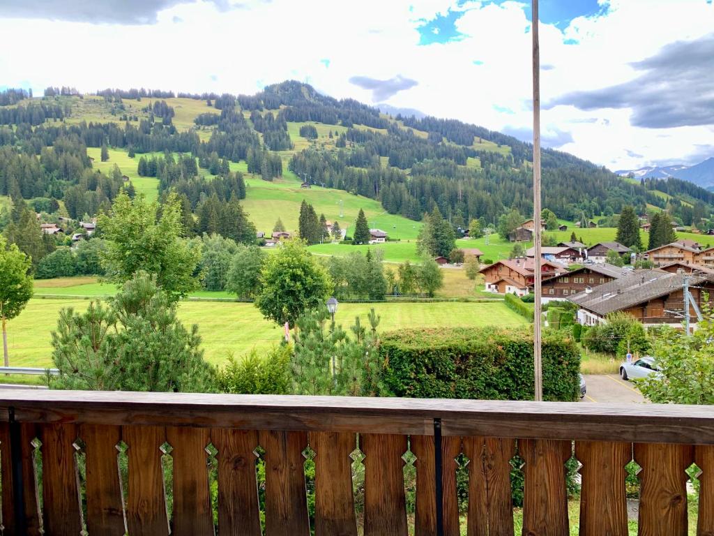 Chalet Mutzli photo 2