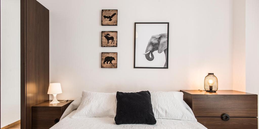 Apartamento Ainsa photo 4