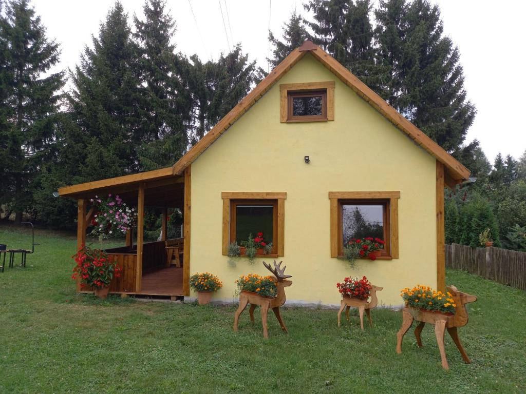 Agroturystyka pod świerkami photo 1