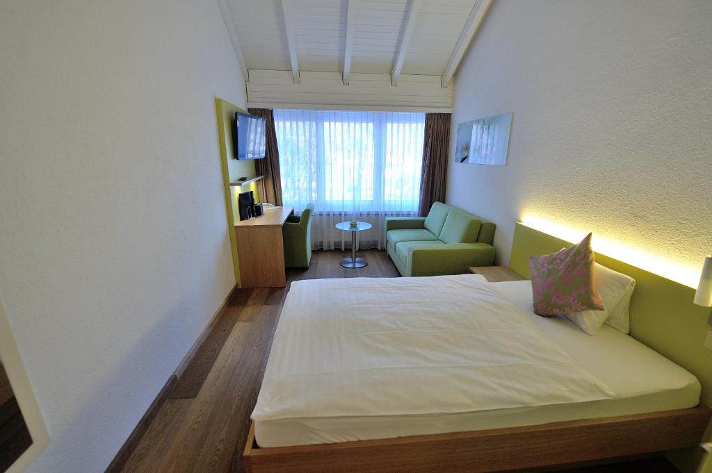 Одноместный (Одноместный номер Lifestyle), Hotel Sommerau