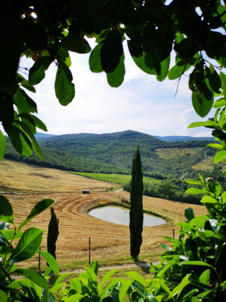 Agriturismo Selvella photo 1